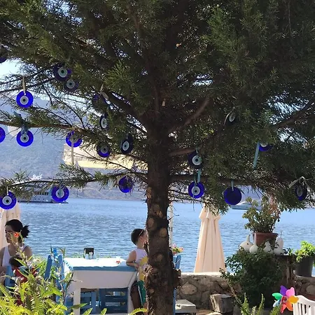 Akkum Gezer 汽车旅馆