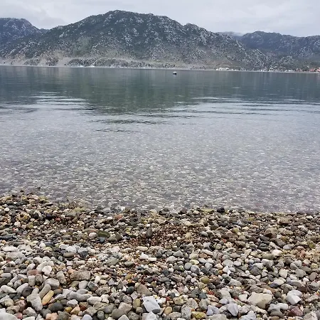 モーテル Akkum Gezer