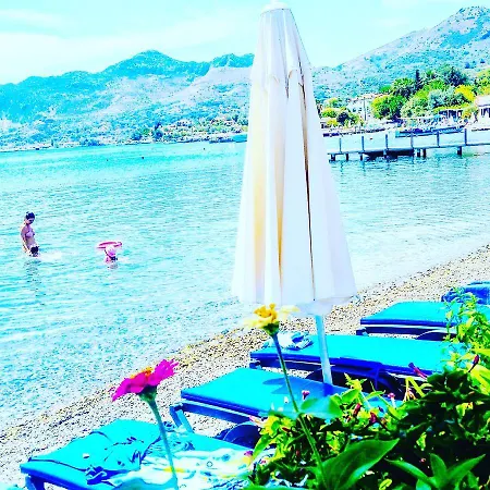 Akkum Gezer マルマリス